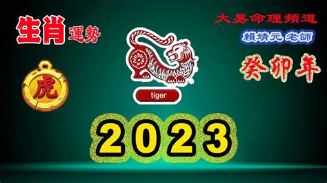 虎2023運勢|【2023年 虎】2023年 虎：事業、愛情、財富、健康大揭密！